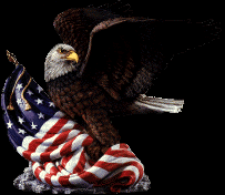 eagle3.gif