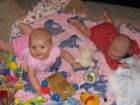 img_0009_small.jpg