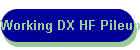 Working DX HF Pileups