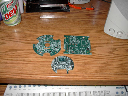 bldcbrds.jpg  (48.4 Kb)