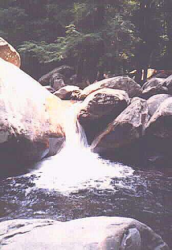 Smokey Mts.