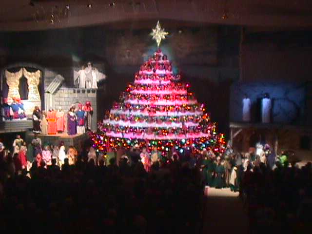 Living Christmas Tree