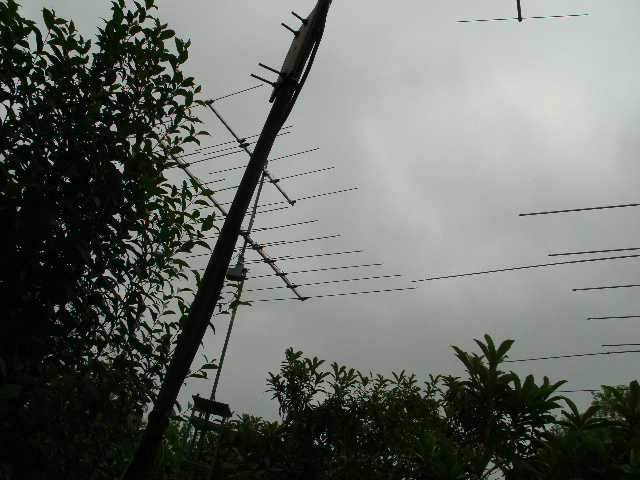 Rohn 6 with antennas - raised - but too near 10-m 3-el Yagi tips - Apr 8, 2013