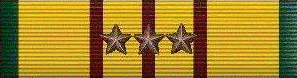 Viet Nam Service Medal