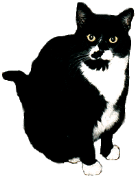 One of Dave's Cats