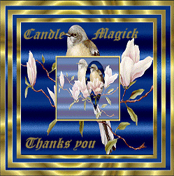 birdgift.gif (249x252 -- 46838 bytes)