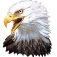 eagle