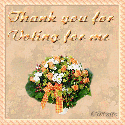 thanks_forvoting.gif (250x250 -- 44494 bytes)