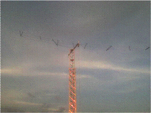 DSC00249.JPG