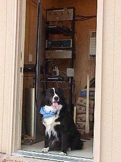 WTMRA-6.jpg (20928 bytes)