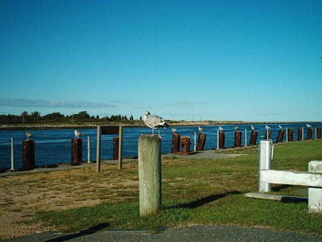 capecodcanal92705079.jpg