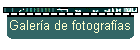 Galera de fotografas
