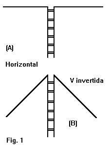 [FIG1]