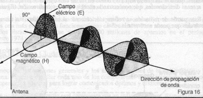 Campos Eléctrico y Magnético en una Antena