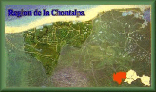 Pulsar aqui para ver temas de Cardenas.