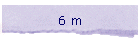 6 m