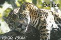 BELIZE
