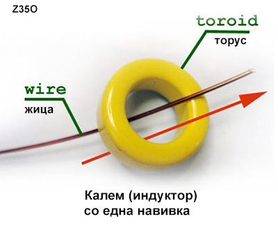 torus1