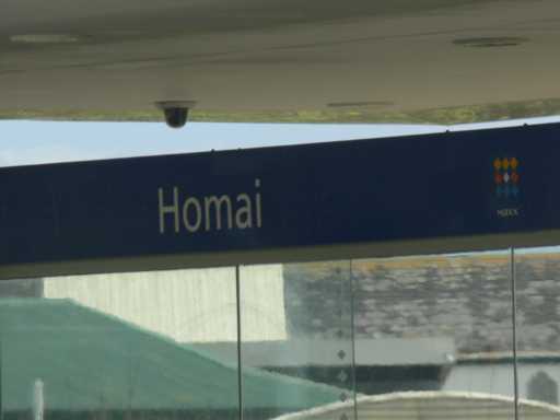 ZL1DKHomi_b