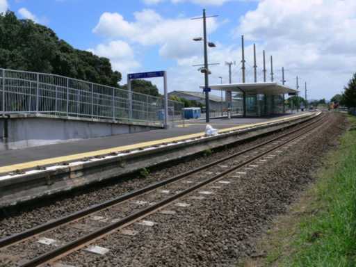 ZL1DKPapatoetoe_a