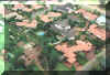 Aerial_View1.JPG (115712 bytes)
